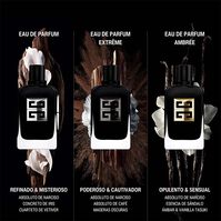 Gentleman Society Ambrée 60ml-227438 Gentleman Society Ambrée 60ml-227438 5